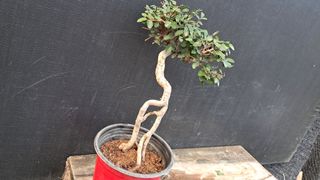 이정운님의 자유주제 · 자유게시판 작성글 사진