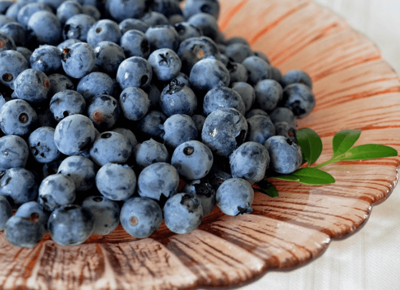 스피드번님의 장터 판매 상품 [생 블루베리] 첨부 사진