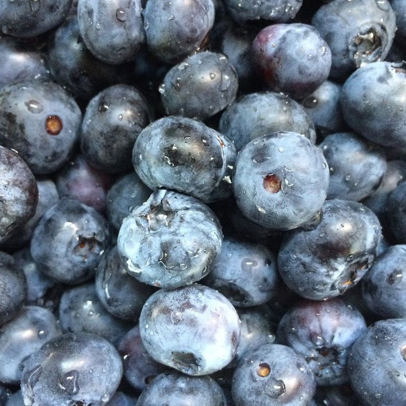 장터 상품 [생 블루베리] 썸네일