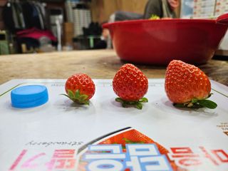 안성화님의 작성글 사진