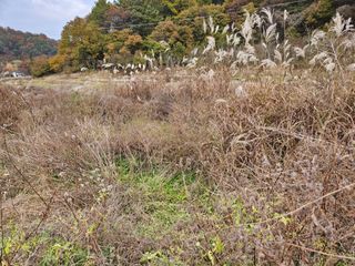 김용석님의 자유주제 · 자유게시판 작성글 사진