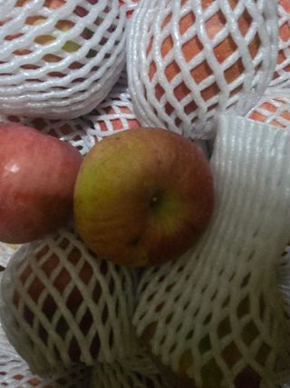 사과청일농원🍎님의 작성글 사진