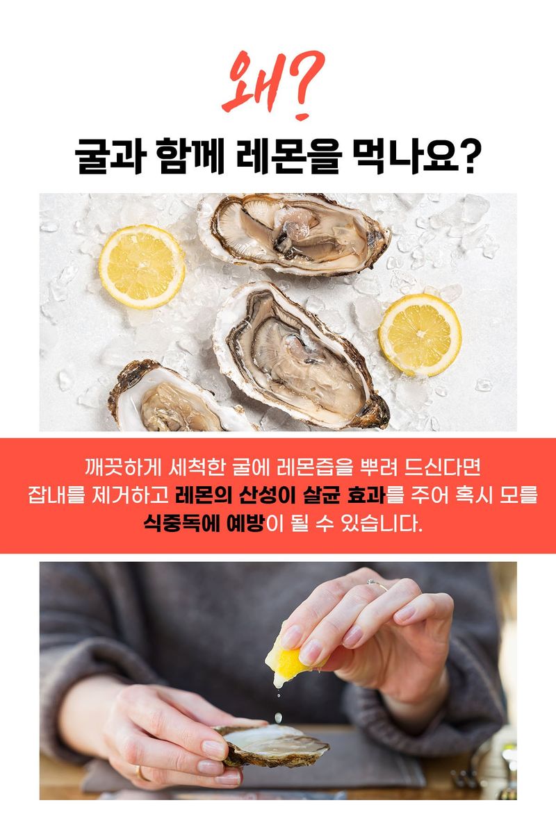 스피드번님의 장터 판매 상품 [국내산 통영 생굴] 첨부 사진