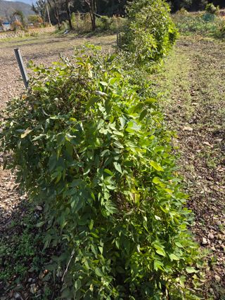 knlee님의 자유주제 · 자유게시판 작성글 사진