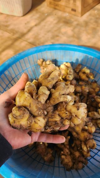 조새힘님의 자유주제 · 자유게시판 작성글 사진