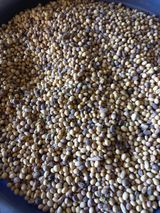 심무재 님의 농사, 무엇이든 물어보세요!·참여글 작성글 사진