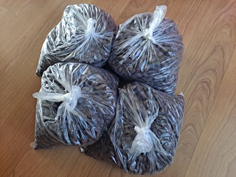 횡성농원님의 장터 판매 상품 [자색땅콩 1kg] 첨부 사진