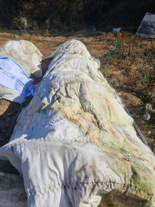 farmer님의 자유주제 · 자유게시판 작성글 사진