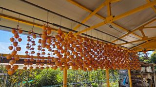 LUCAS님의 자유주제 · 자유게시판 작성글 사진