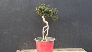 이정운님의 자유주제 · 자유게시판 작성글 사진