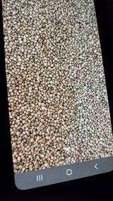 팜모닝 자유주제·자유게시판 게시글 이미지