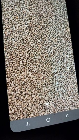 박성기님의 자유주제 · 자유게시판 작성글 사진