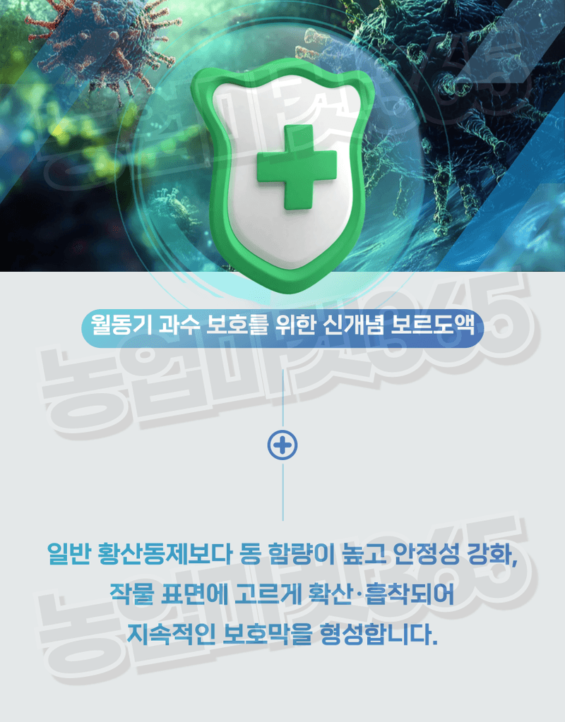 농업마켓365님의 장터 판매 상품 [융전 볼도액412 액제 2L 월동기 과수관리 빙핵세균 밀도저하 동해피해 경감제 보르도액 식물영양제] 첨부 사진