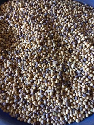 심무재 님의 농사, 무엇이든 물어보세요! · 참여글 작성글 사진