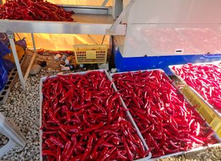 마늘17273님의 자유주제 · 자유게시판 작성글 사진