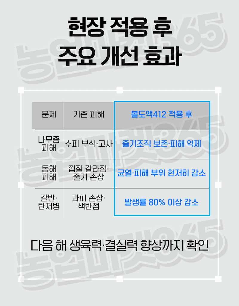 농업마켓365님의 장터 판매 상품 [융전 볼도액412 액제 2L 월동기 과수관리 빙핵세균 밀도저하 동해피해 경감제 보르도액 식물영양제] 첨부 사진