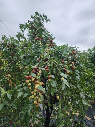 박동현님의 작성글 사진