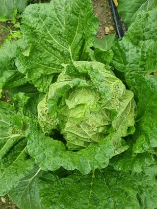 이호님의 자유주제 · 사진전 작성글 사진