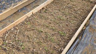 작은꽃밭님의 자유주제 · 자유게시판 작성글 사진