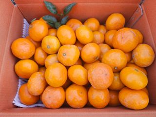 양애숙님의 작성글 사진