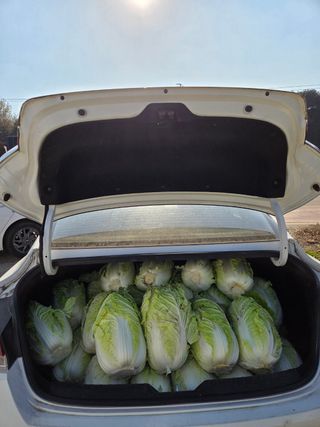 박덕환님의 자유주제 · 자유게시판 작성글 사진