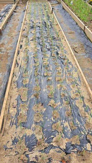 작은꽃밭님의 자유주제 · 자유게시판 작성글 사진