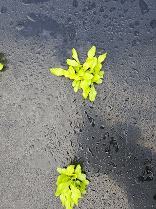 김제일주농장님의 자유주제 · 자유게시판 작성글 사진