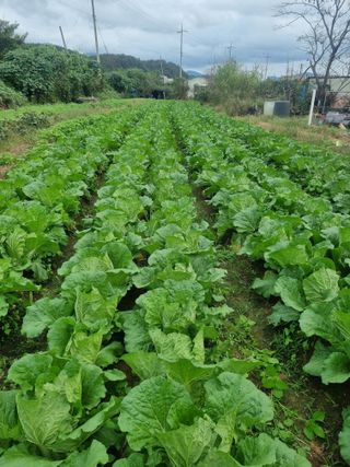 이호님의 자유주제 · 자유게시판 작성글 사진