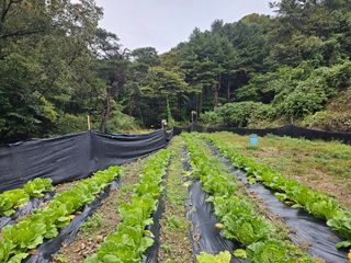 대파14665님의 자유주제 · 자유게시판 작성글 사진