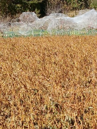 인생은 소풍처럼님의 작성글 사진