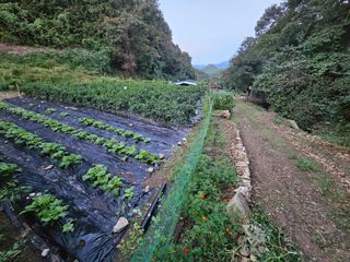대파14665님의 자유주제 · 자유게시판 작성글 사진