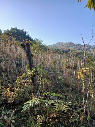 무료지식나눔 팜닥터님의 자유주제 · 자유게시판 작성글 사진