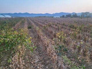 서명석님의 자유주제 · 자유게시판 작성글 사진