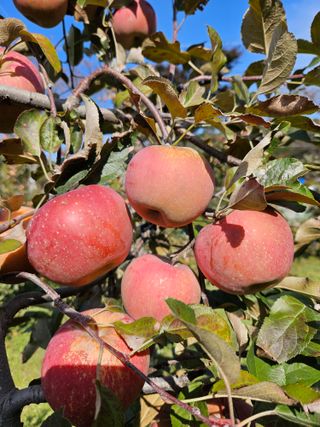 조균원님의 자유주제 · 자유게시판 작성글 사진