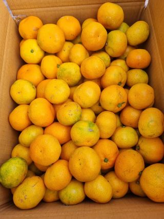 부금리(금강농원)님의 작성글 사진