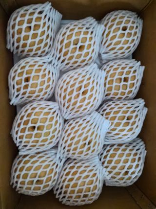 윤성한님의 작성글 사진