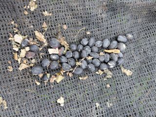 오화순님의 자유주제 · 자유게시판 작성글 사진