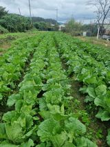 팜모닝 자유주제·사진전 게시글 이미지