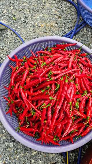 홍&이님의 작성글 사진