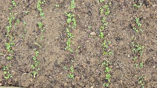 작은꽃밭님의 자유주제 · 자유게시판 작성글 사진