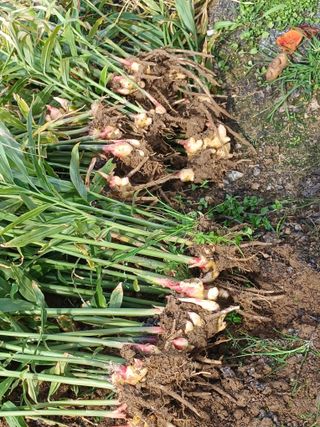 이영자 님의 자유주제 · 자유게시판 작성글 사진