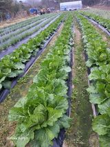 팜모닝 자유주제·건의해요 게시글 이미지