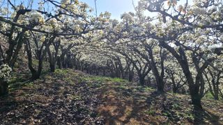 윤성한님의 작성글 사진