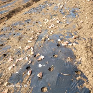 이의도님의 자유주제 · 자유게시판 작성글 사진