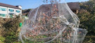 땅땅님의 자유주제 · 자유게시판 작성글 사진