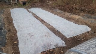 장석오님의 자유주제 · 자유게시판 작성글 사진