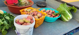 땅땅님의 자유주제 · 자유게시판 작성글 사진