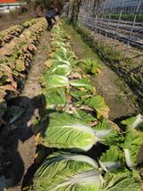 팜모닝 자유주제·자유게시판 게시글 이미지