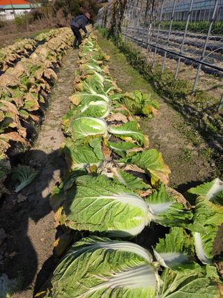 박덕환님의 자유주제 · 자유게시판 작성글 사진