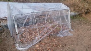 장석오님의 자유주제 · 자유게시판 작성글 사진